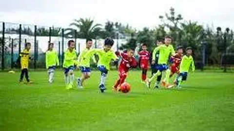 米兰体育 资讯 131446 zj6